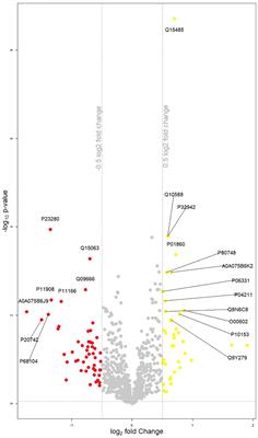 Correlating plasma protein profiles with symptomatology and treatment response in acute phase and early remission of major depressive disorder